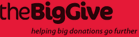 theBigGive Logo